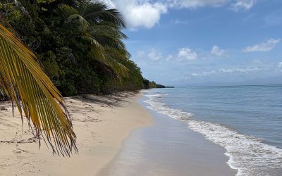 Que voir et que faire à Sainte-Lucie depuis la Martinique ?